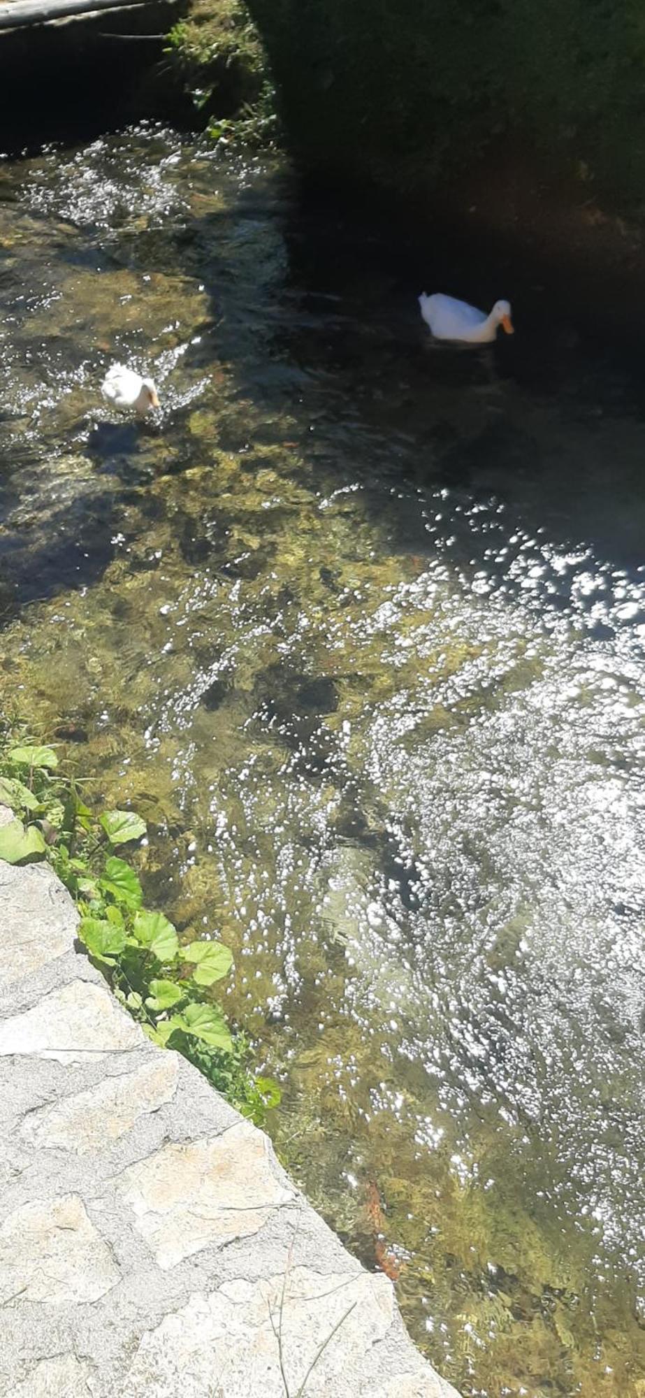 Plitvicki Ljeskovac 米拉旅馆酒店 外观 照片